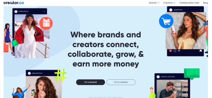 12 Best Influencer Marketing Platforms To Try in 2025